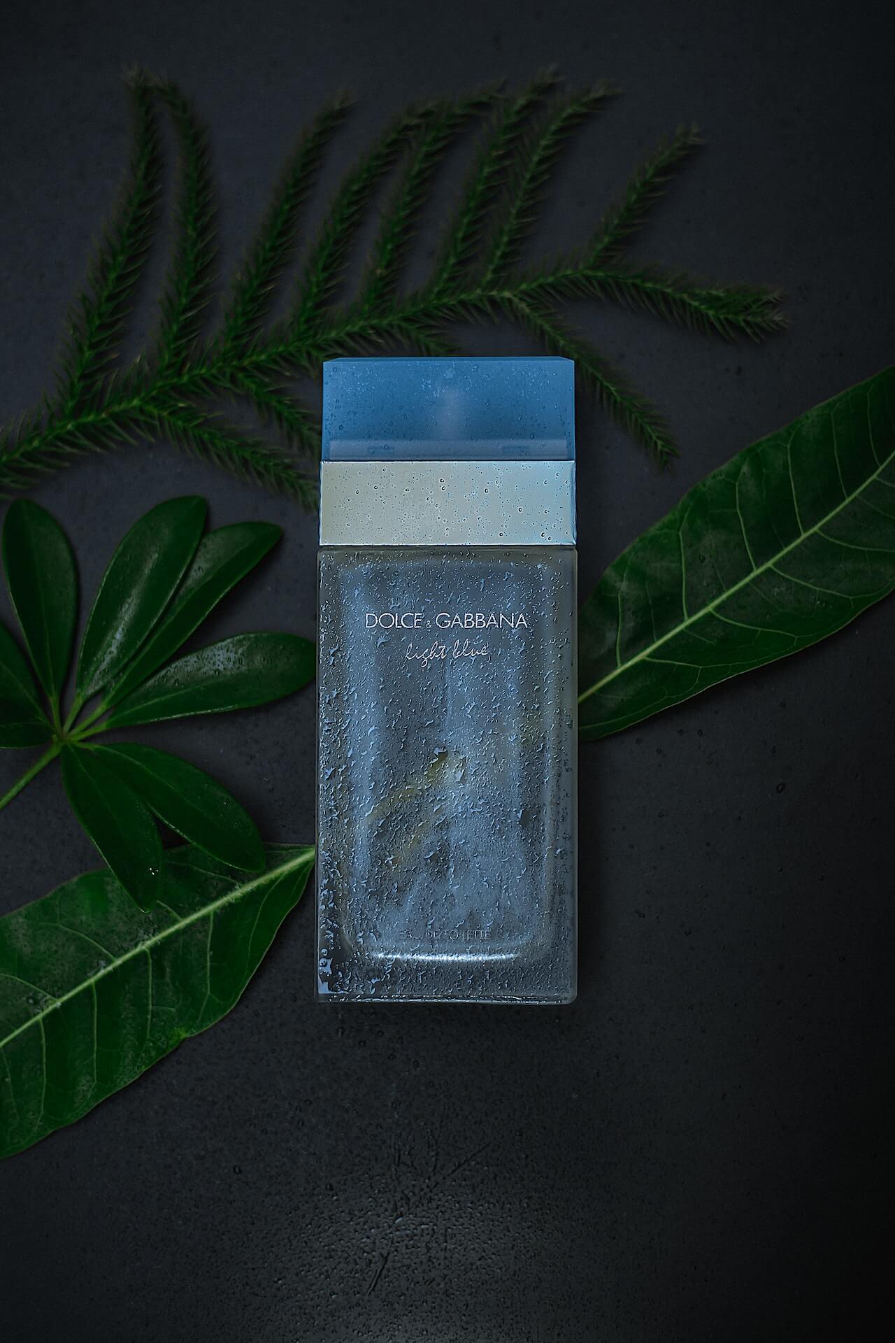 Cologne on a branch